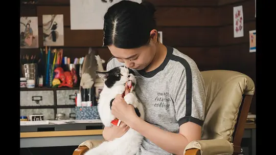 电影剧照