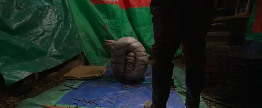 电影剧照