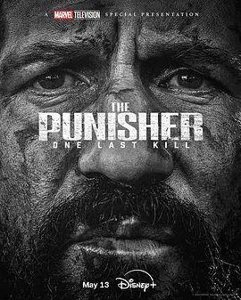 惩罚者：最后一击 The Punisher: One Last Kill