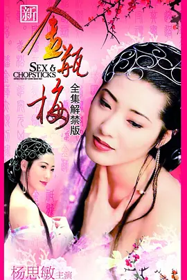 新金瓶梅