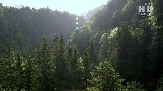 电影剧照