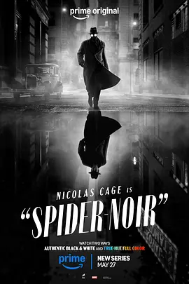 暗影蜘蛛侠 Spider-Noir