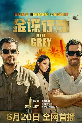 金谍行动 In the Grey
