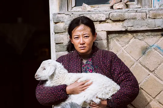 电影剧照