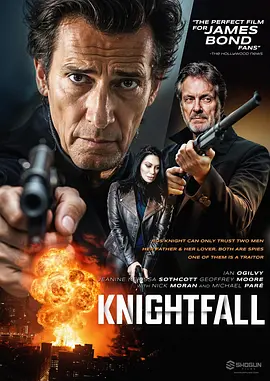 叛谍猎手 Knightfall